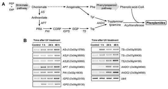 Molecules 19 18139 g003 550
