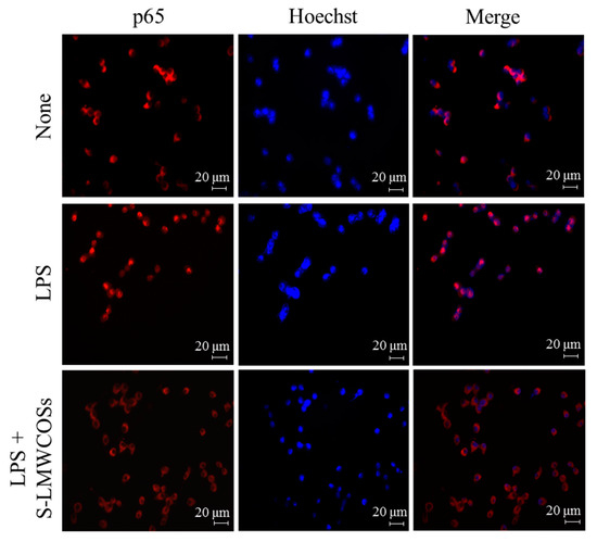 Molecules 19 18232 g007 550