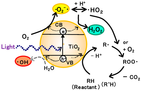 Molecules 19 18248 g002 550