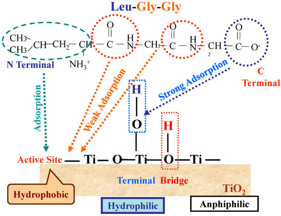 Molecules 19 18248 g015 550