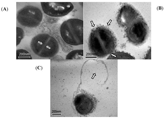 Molecules 19 18283 g006 550
