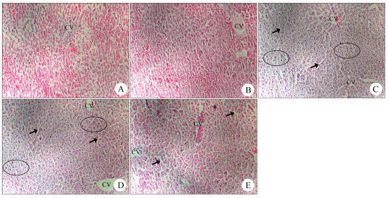 Molecules 19 18479 g005 550