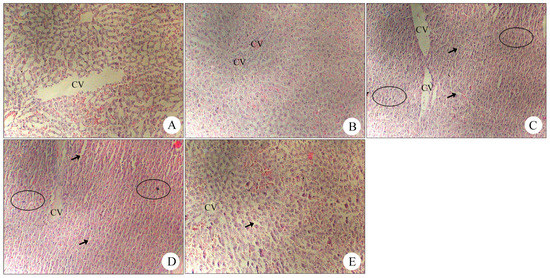 Molecules 19 18479 g006 550