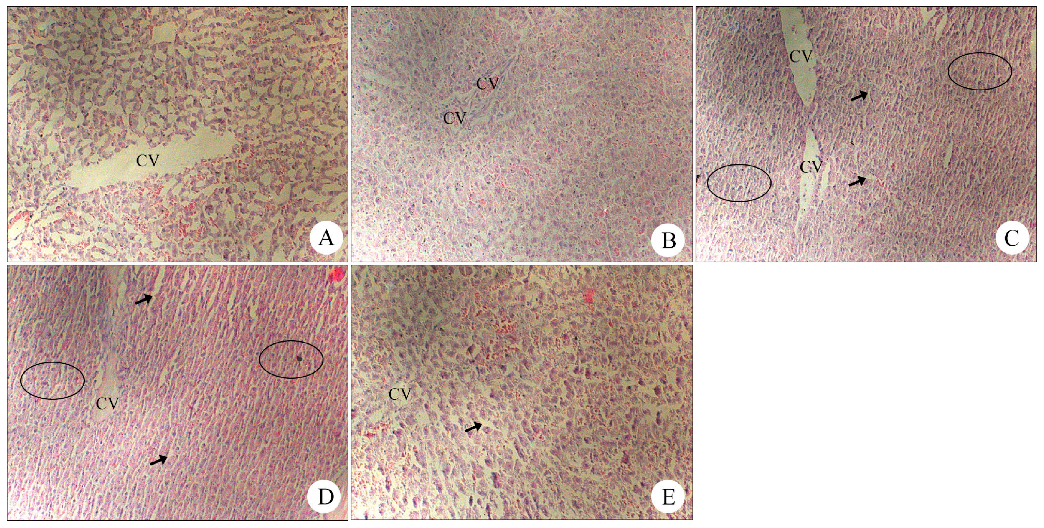 Molecules 19 18479 g006