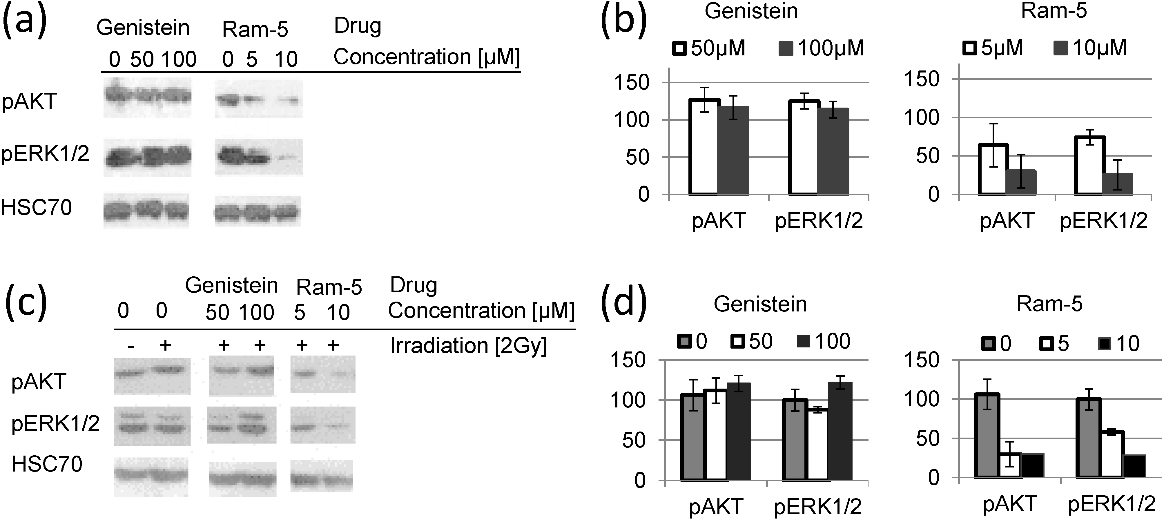 Molecules 19 18558 g005