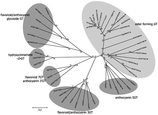Molecules 19 18747 g005 550