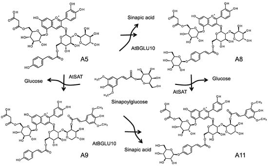 Molecules 19 18747 g008 550