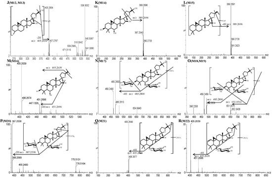 Molecules 19 18881 g003b 550