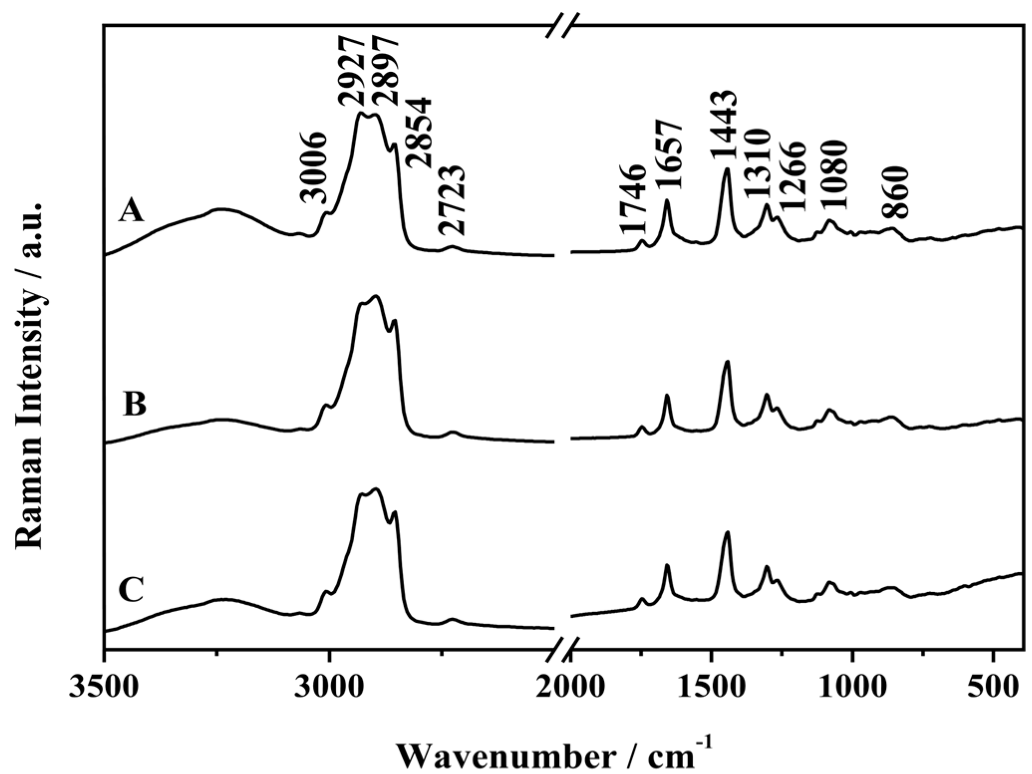 Molecules 19 18980 g001