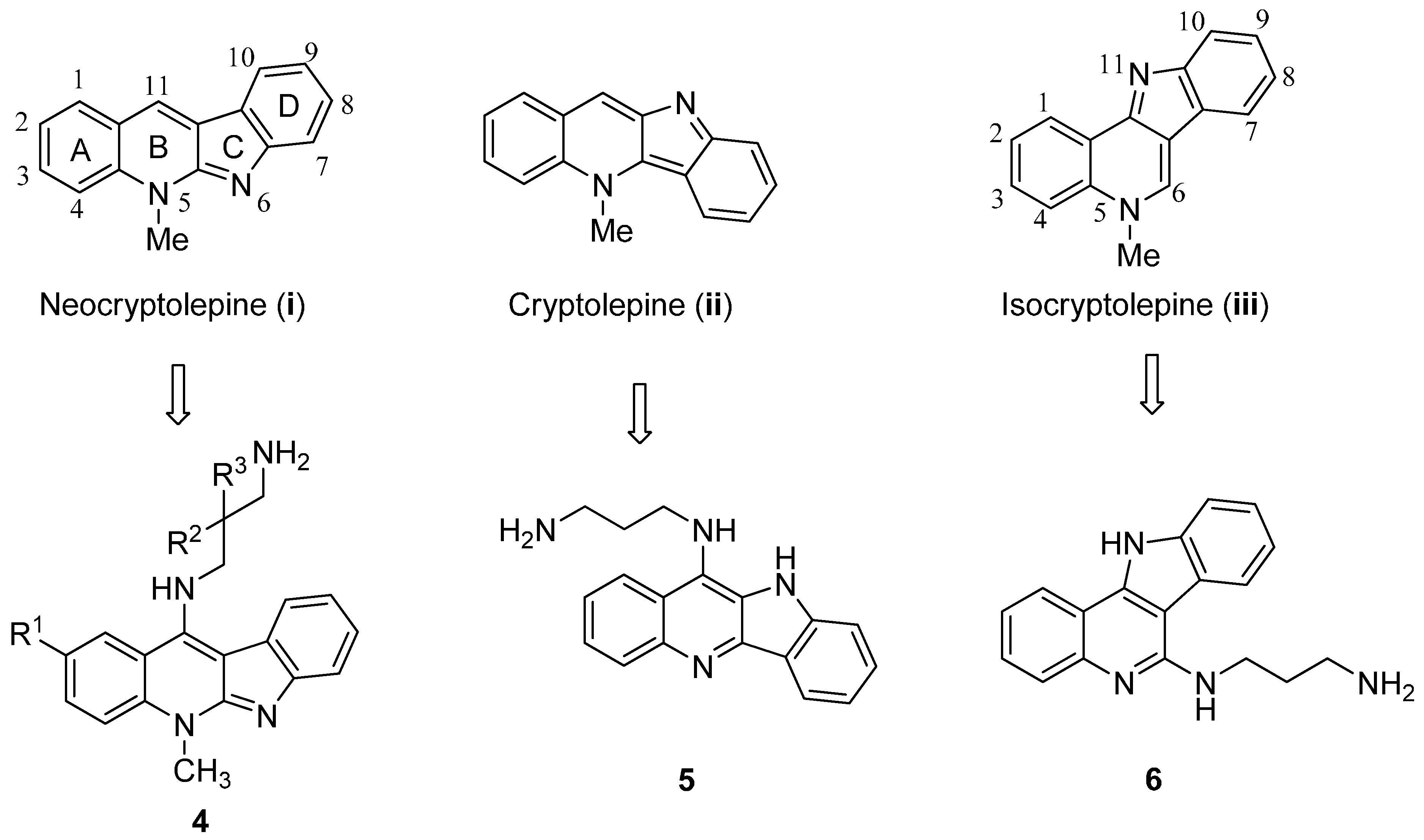 Molecules 19 19021 g002