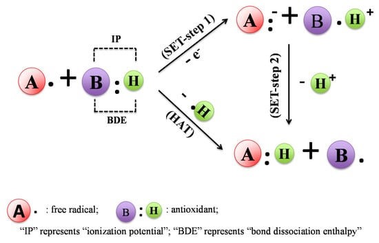 Molecules 19 19180 g002 550