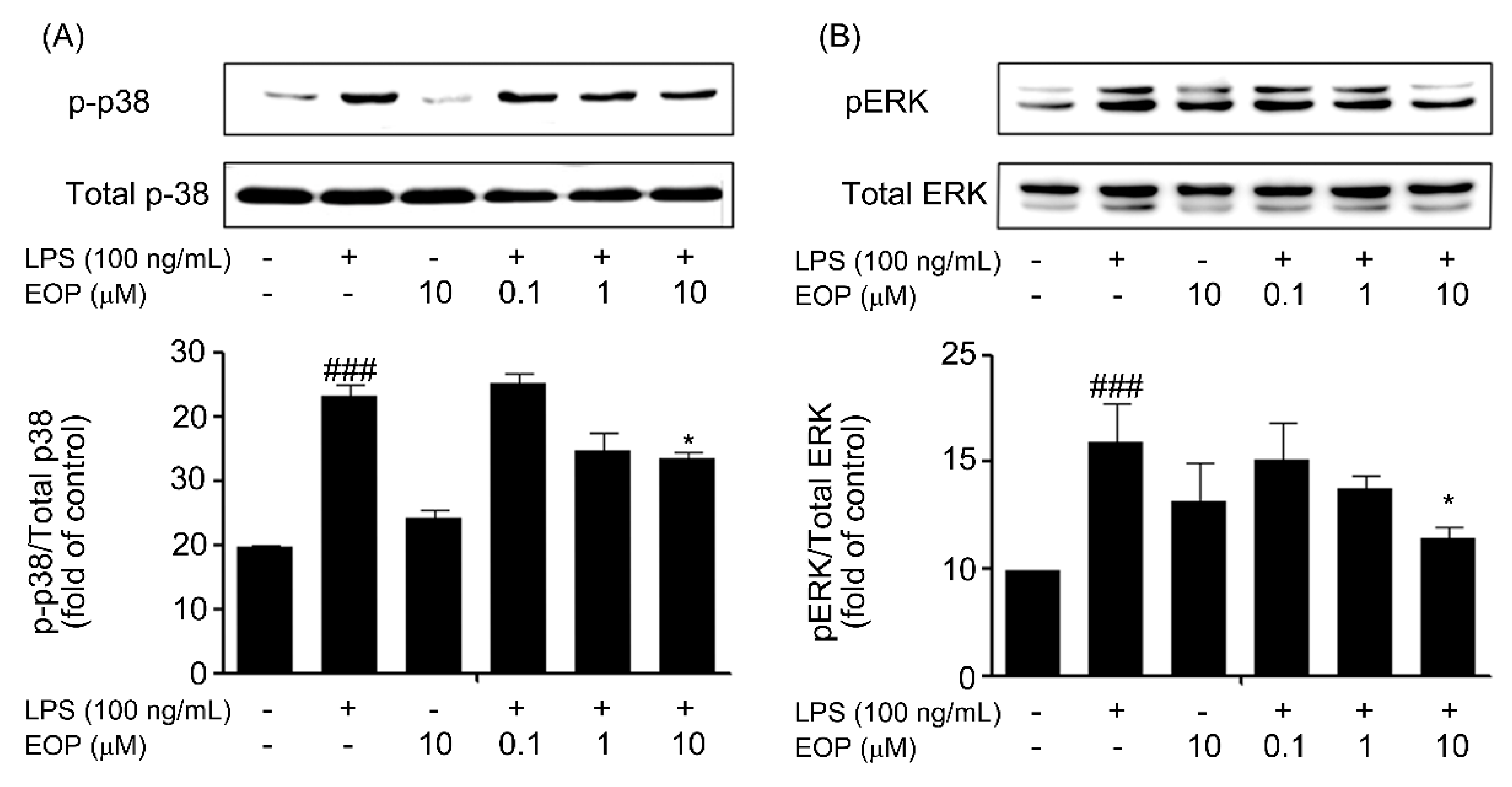 Molecules 19 19361 g005