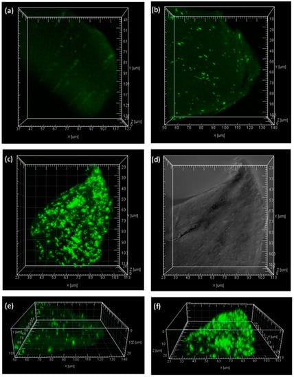 Molecules 19 19390 g006 550