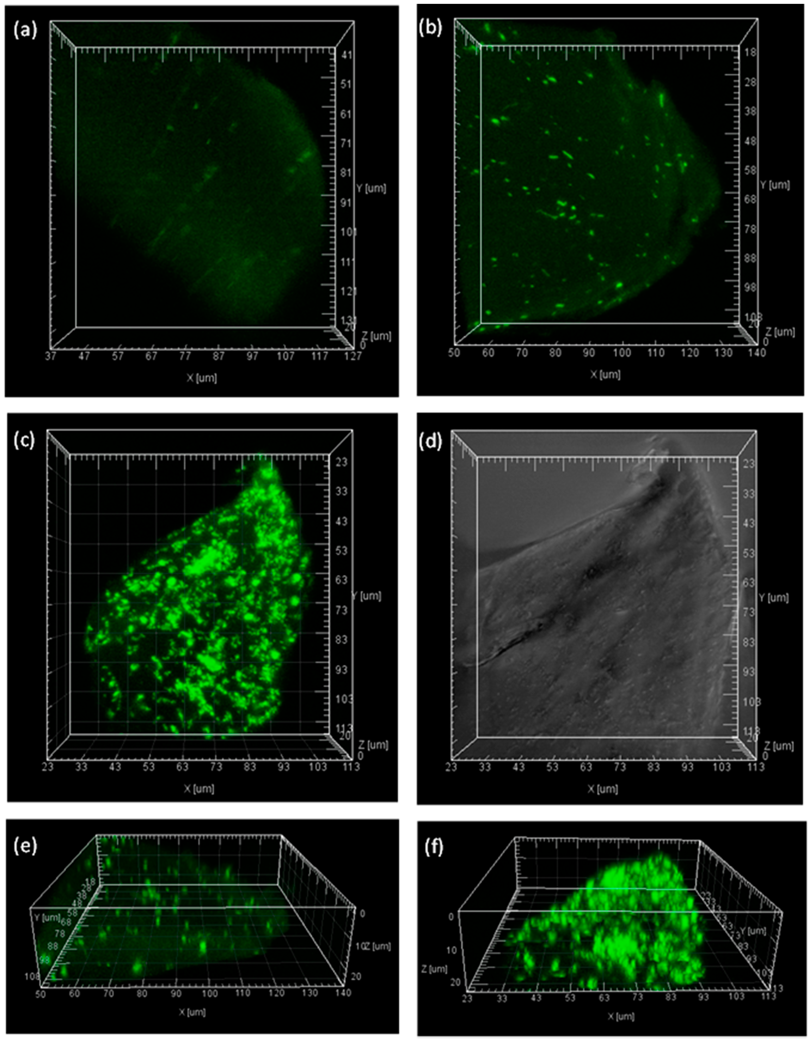 Molecules 19 19390 g006