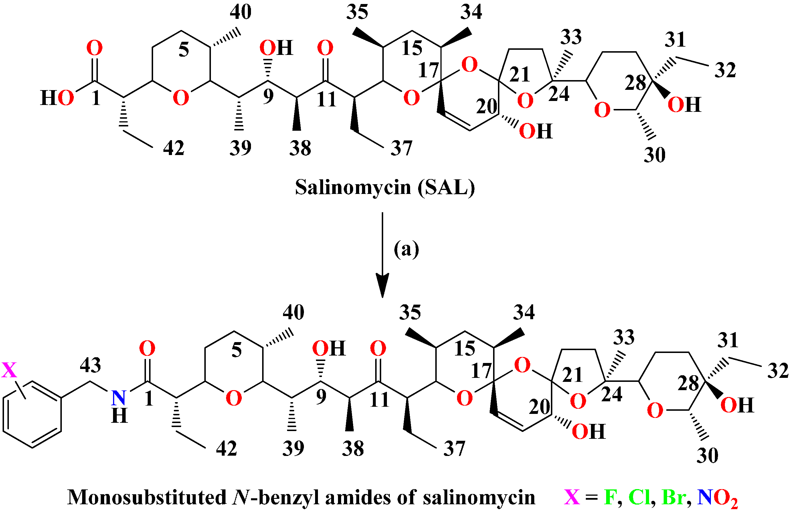 Molecules 19 19435 g001