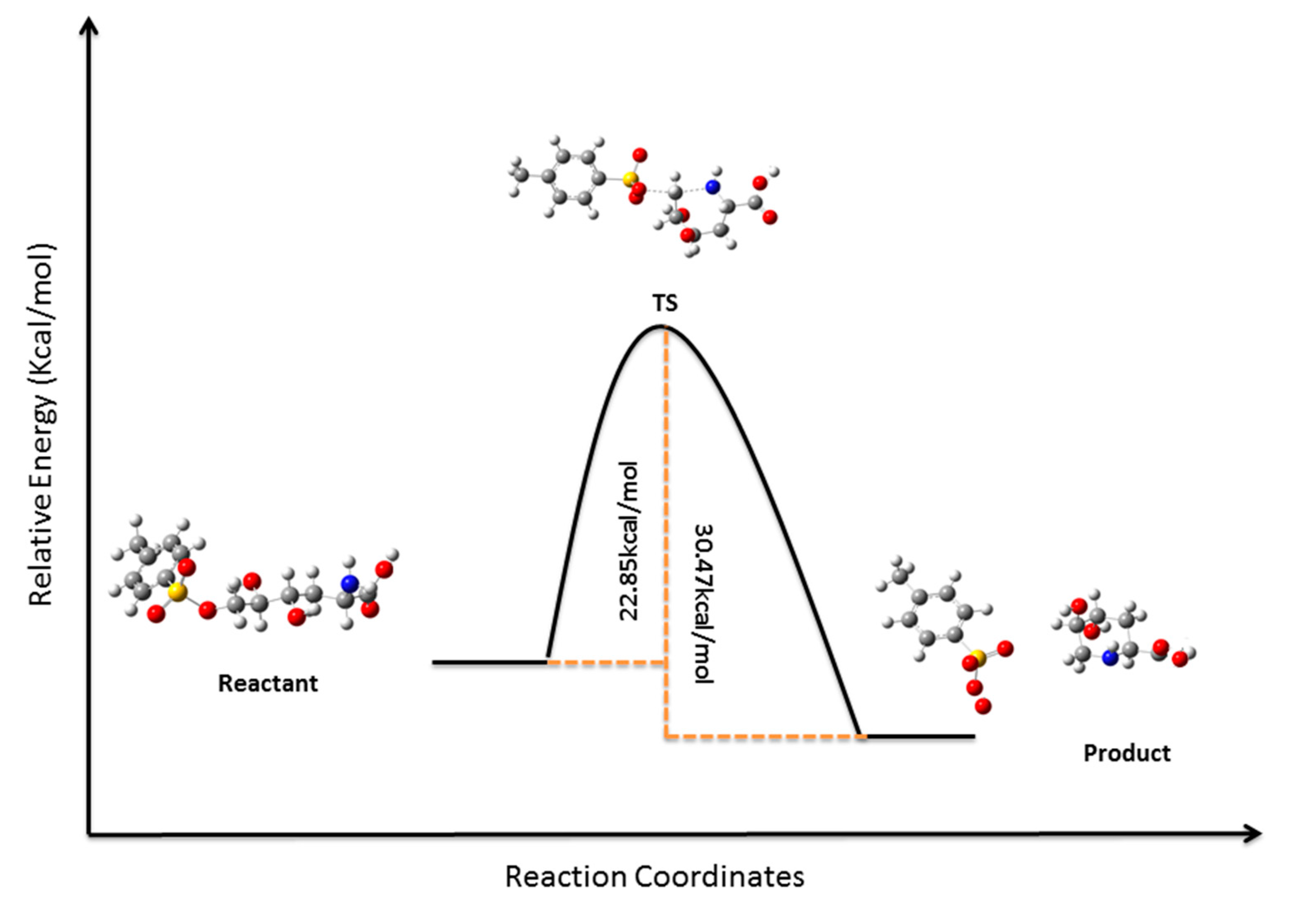 Molecules 19 19516 g004