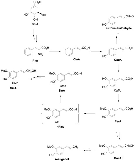 Molecules 19 19769 g020 550