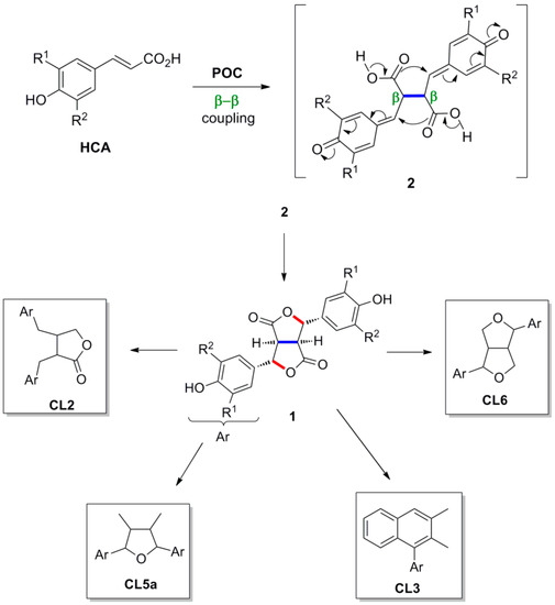 Molecules 19 19769 g024 550