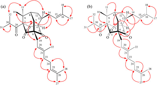 Molecules 19 19836 g005 550