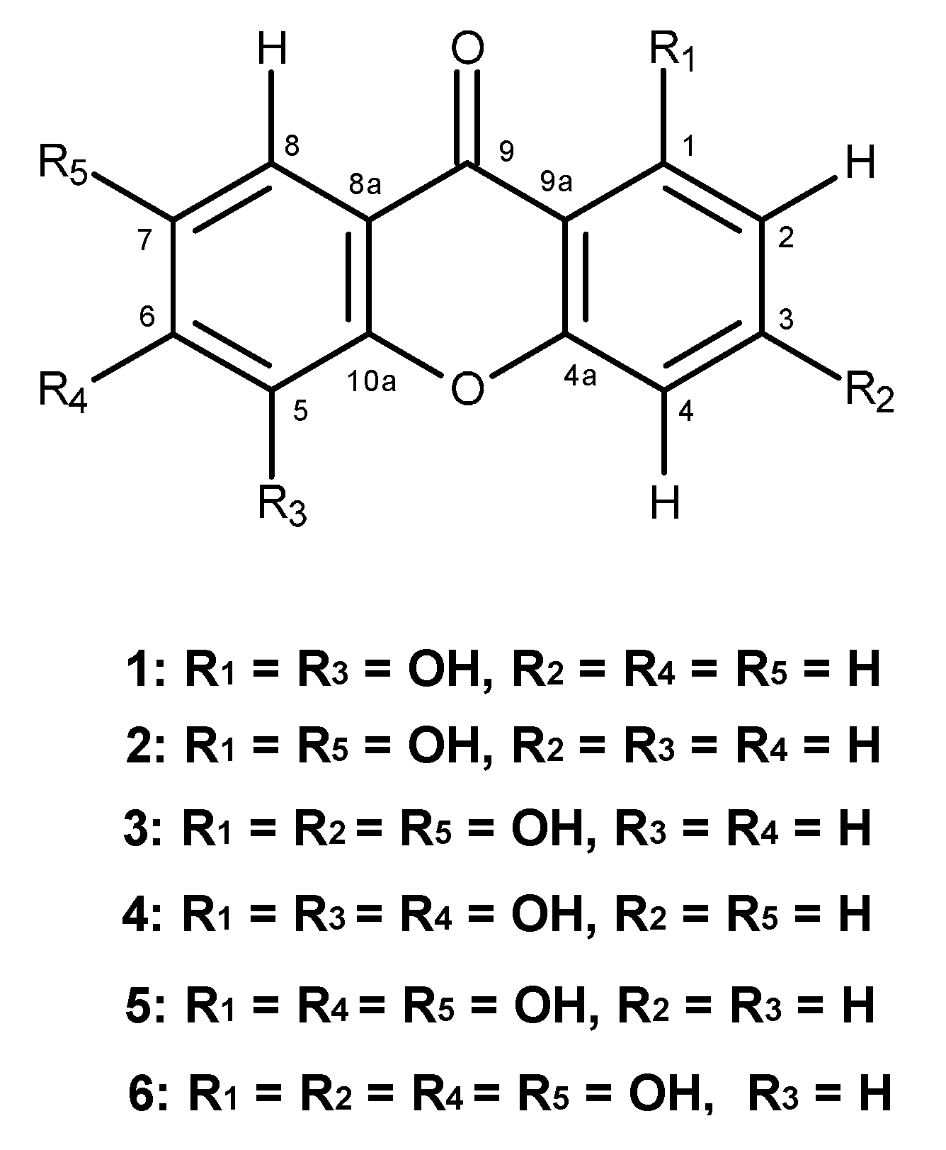 Molecules 19 19923 g001