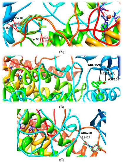 Molecules 19 20197 g008 550