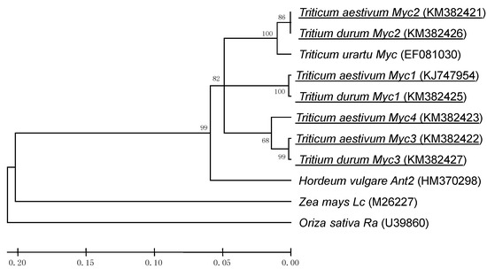 Molecules 19 20266 g001 550