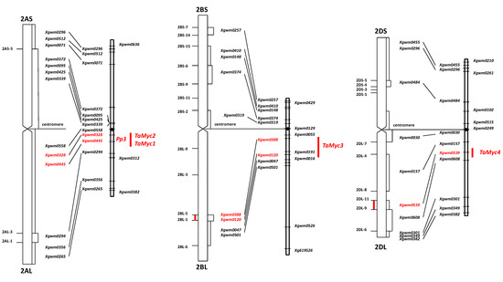 Molecules 19 20266 g002 550