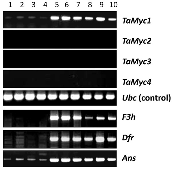 Molecules 19 20266 g003 550