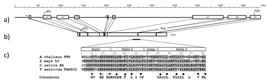 Molecules 19 20266 g005 550