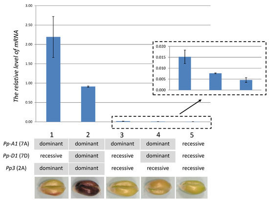 Molecules 19 20266 g006 550
