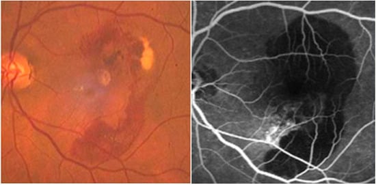 Molecules 19 20557 g002 550