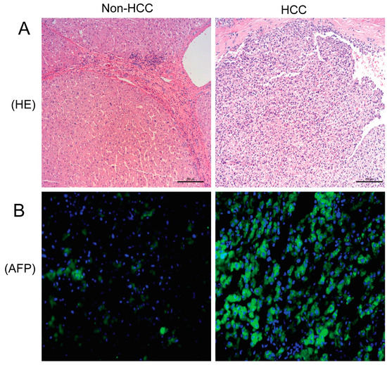 Molecules 19 20768 g001 550