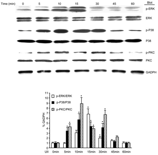 Molecules 19 20768 g005 550