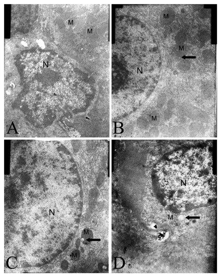 Molecules 19 21168 g004 550