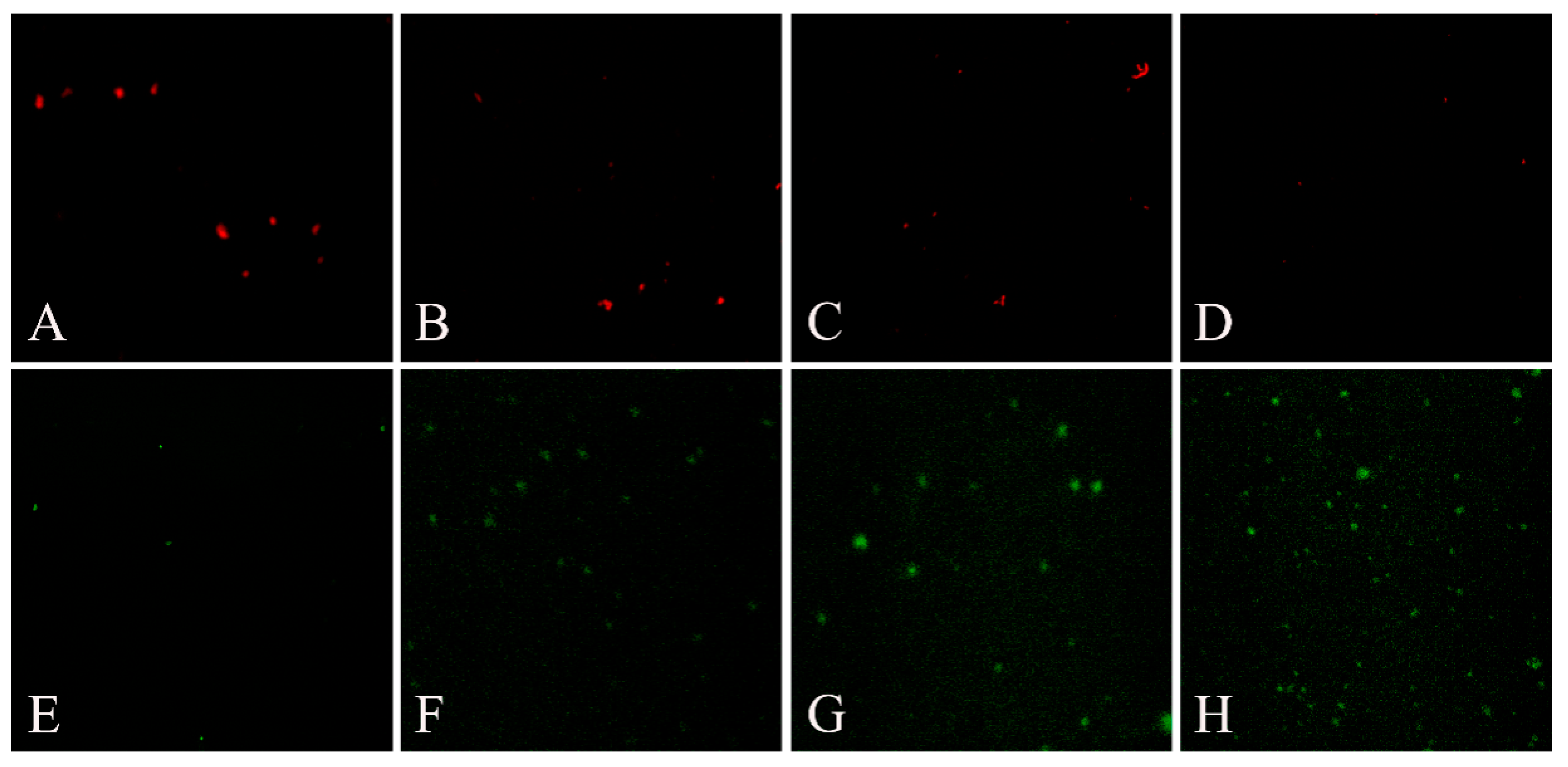 Molecules 19 21168 g005
