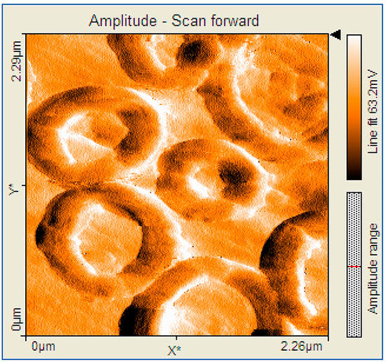 Molecules 19 21239 g006 550