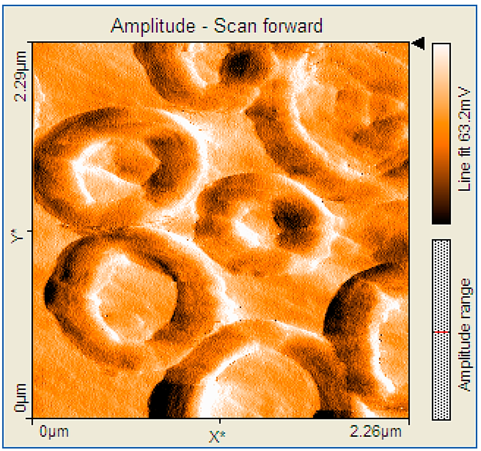 Molecules 19 21239 g006