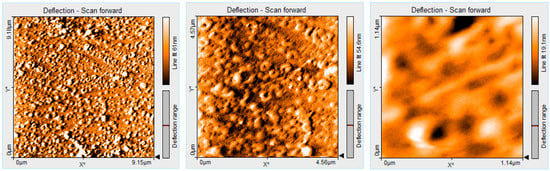 Molecules 19 21239 g008 550