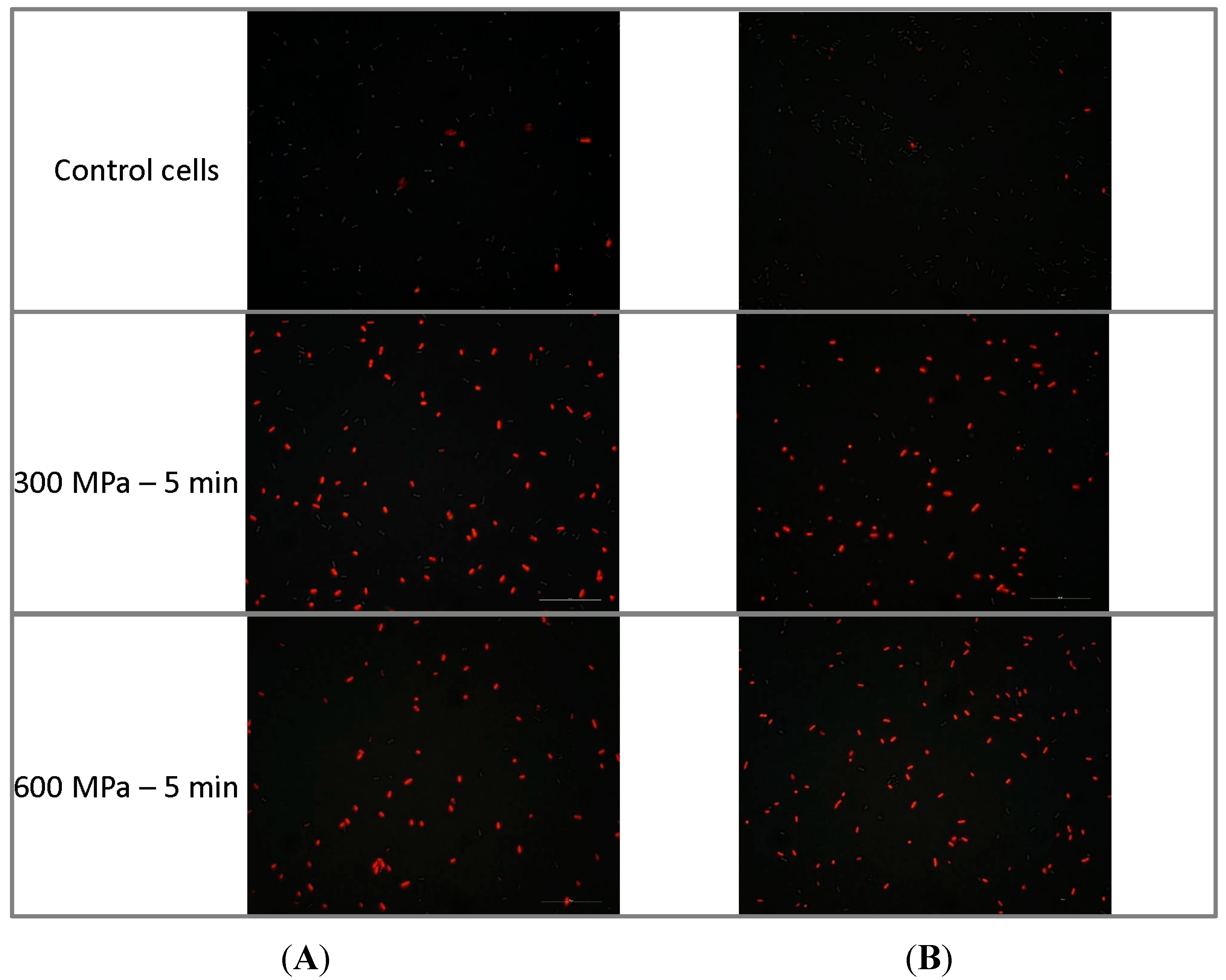 Molecules 19 21310 g002