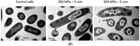 Molecules 19 21310 g003b 550