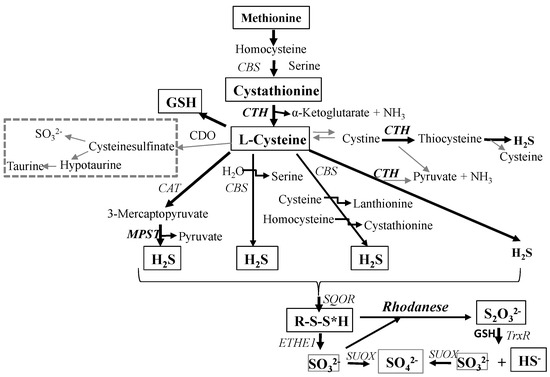 Molecules 19 21350 g006 550