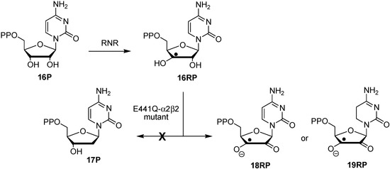 Molecules 19 21489 g008 550