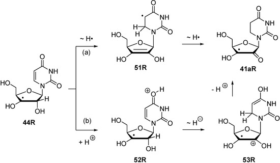 Molecules 19 21489 g011 550
