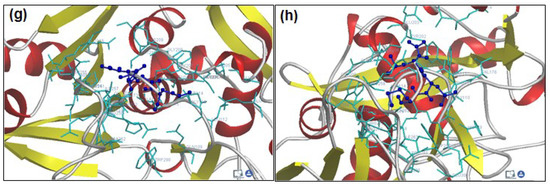Molecules 20 00135 g002b 550