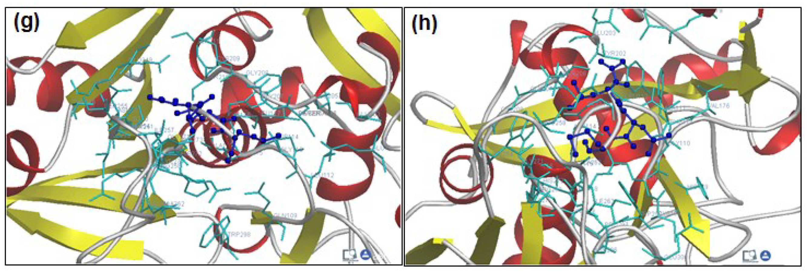 Molecules 20 00135 g002b