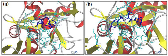 Molecules 20 00135 g006b 550