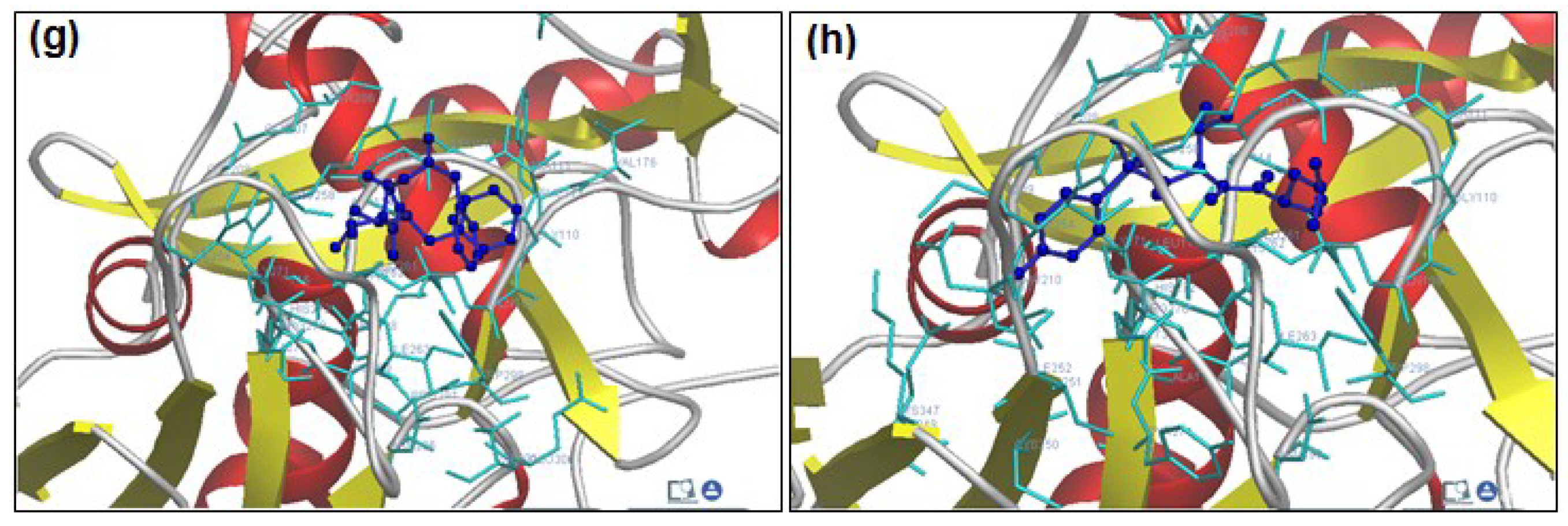 Molecules 20 00135 g006b