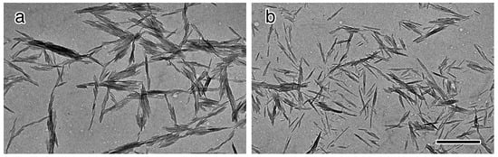 Molecules 20 00169 g004 550