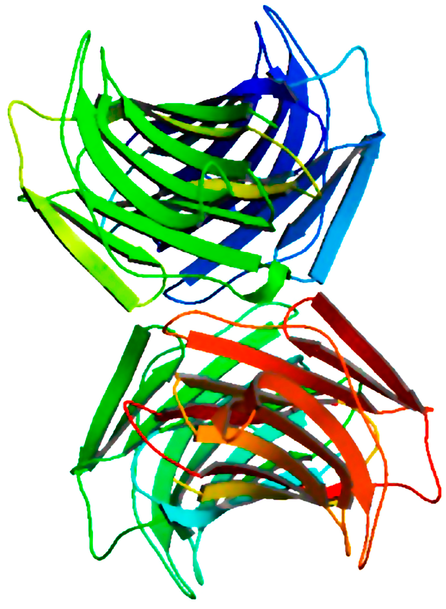 Molecules 20 00348 g001