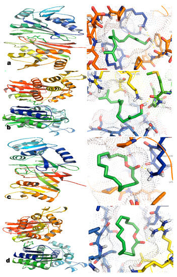 Molecules 20 00384 g002 550